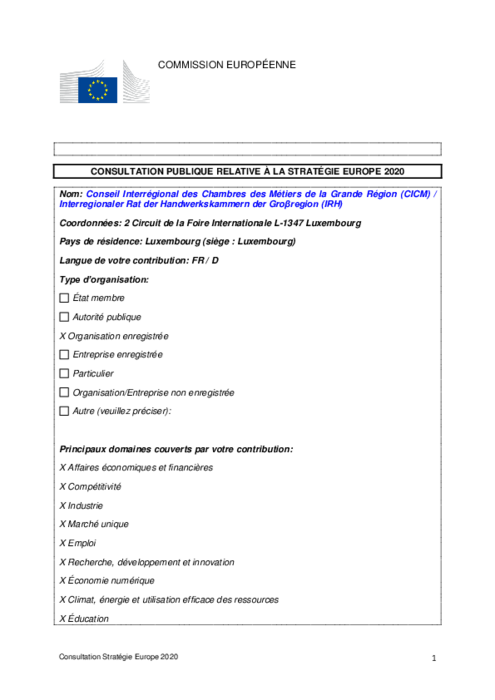 Consultation publique relative à la Strategie Europe 2020